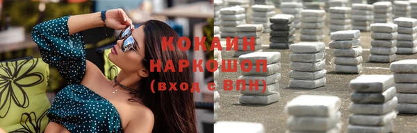 МДПВ Нея