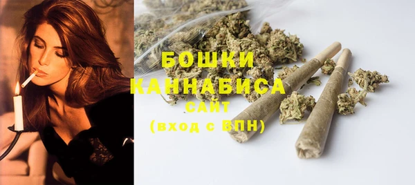 МДПВ Нея