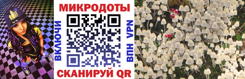 Псилоцибиновые грибы Cubensis Ленск